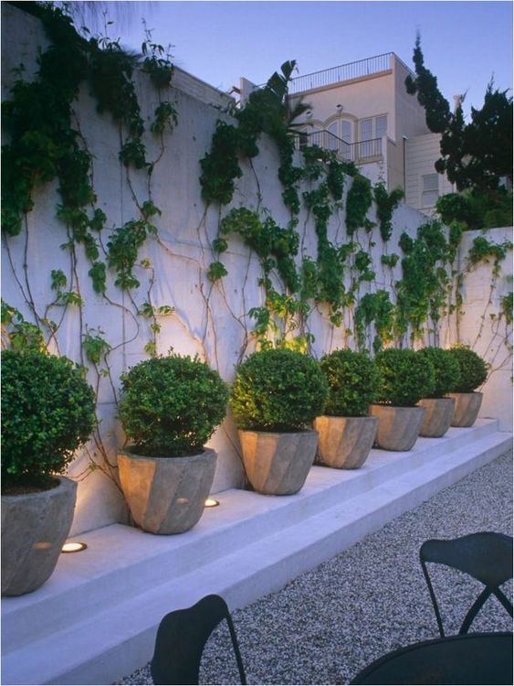 Fence Landscaping Ideas 23