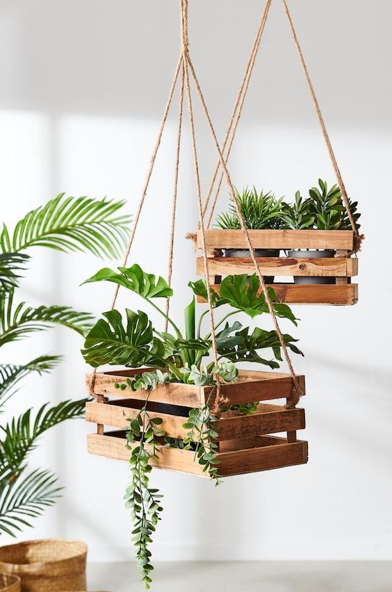 living room plant ideas 15