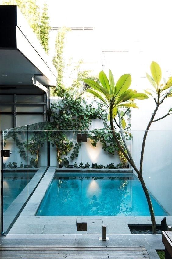 Rectangular Swimming Pool: Modern Minimalist Design
