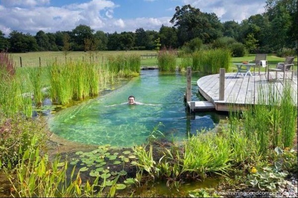 Natural Swimming Pool Ideas feature