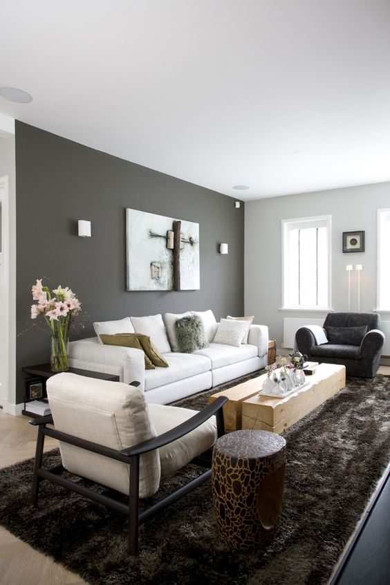 Contemporary Living Room Ideas 20