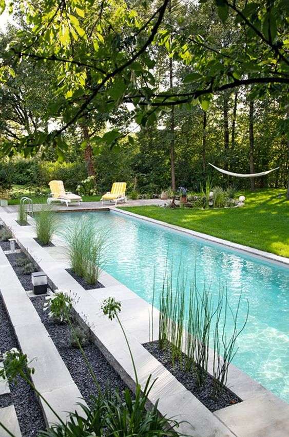 Swimming Pool Backyard Ideas 8