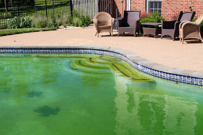 How to Clean Green Swimming Pool